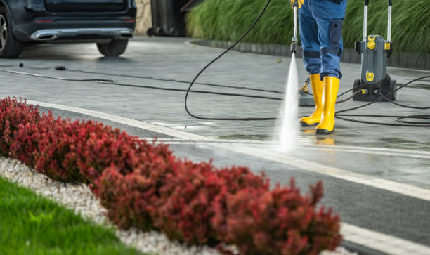 Best Pressure Washing Services Near Me  in Jackpot, NV